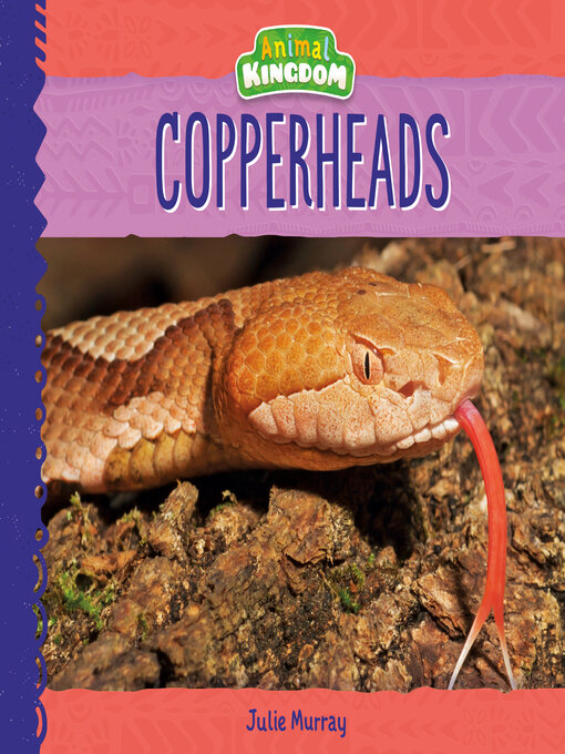 Title details for Copperheads by Julie Murray - Available